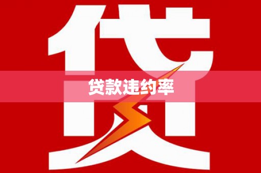 扶风贷款违约率