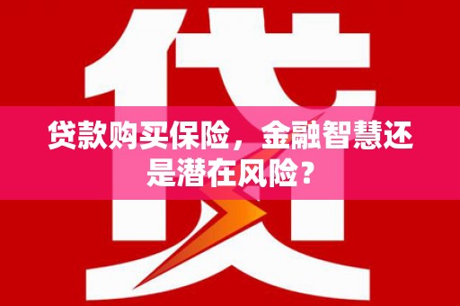 扶风贷款购买保险，金融智慧还是潜在风险？