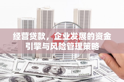 扶风经营贷款，企业发展的资金引擎与风险管理策略