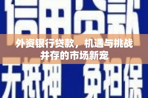 扶风外资银行贷款，机遇与挑战并存的市场新宠