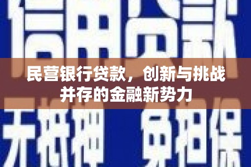 扶风民营银行贷款，创新与挑战并存的金融新势力