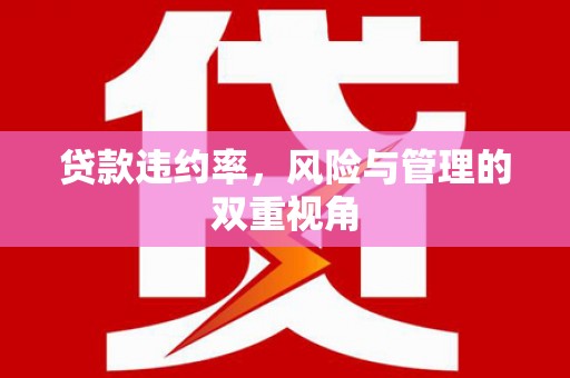 扶风贷款违约率，风险与管理的双重视角