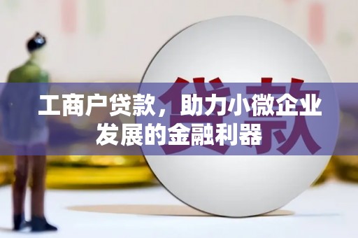 扶风工商户贷款，助力小微企业发展的金融利器