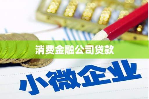 扶风消费金融公司贷款