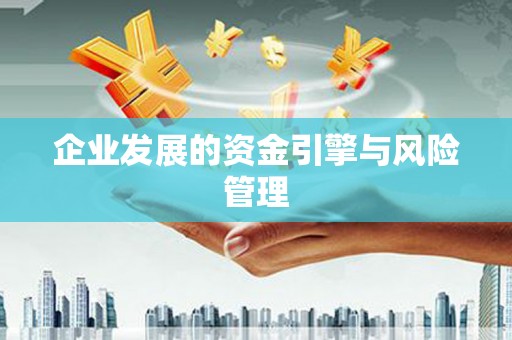 扶风企业发展的资金引擎与风险管理