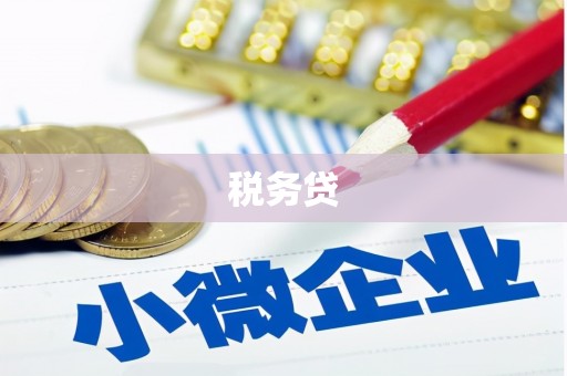 扶风税务贷