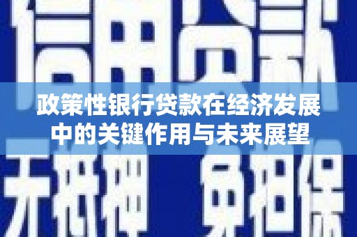 扶风政策性银行贷款在经济发展中的关键作用与未来展望
