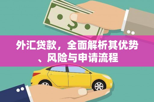 扶风外汇贷款，全面解析其优势、风险与申请流程