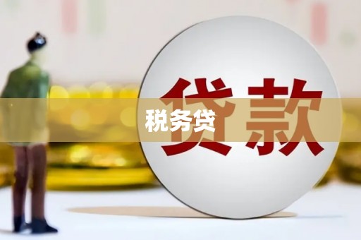 扶风税务贷