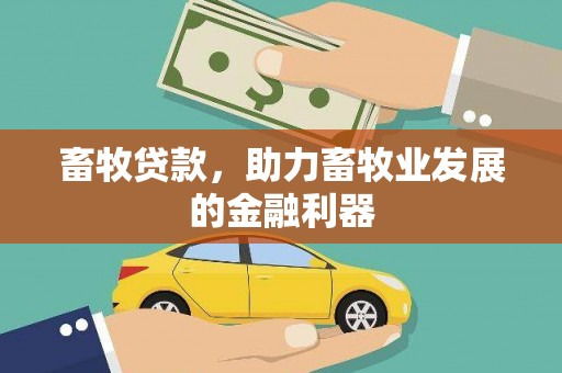 扶风畜牧贷款，助力畜牧业发展的金融利器