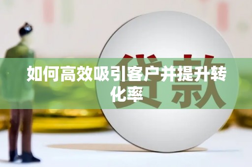 扶风如何高效吸引客户并提升转化率
