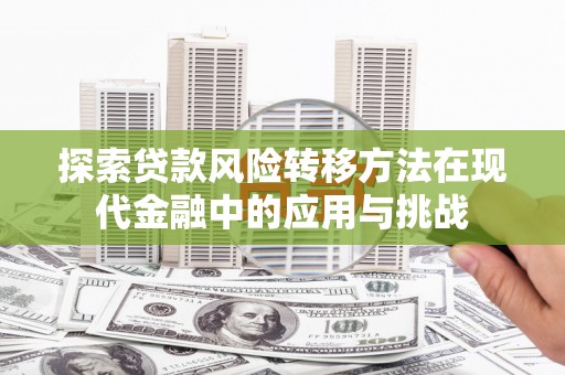 扶风探索贷款风险转移方法在现代金融中的应用与挑战