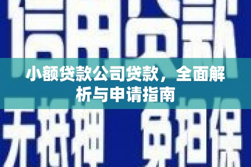 扶风小额贷款公司贷款，全面解析与申请指南