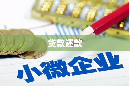 扶风贷款还款
