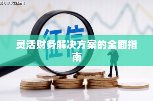 扶风灵活财务解决方案的全面指南