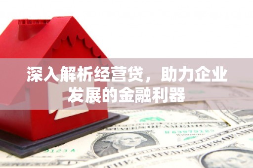 扶风深入解析经营贷，助力企业发展的金融利器