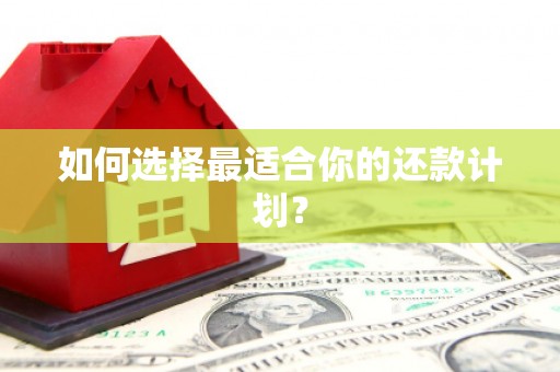 扶风如何选择最适合你的还款计划？