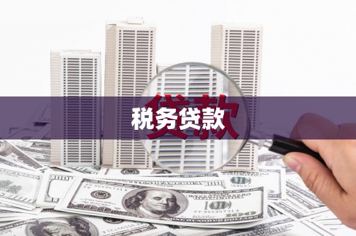 扶风税务贷款