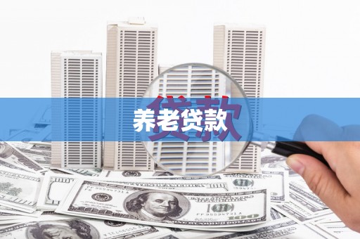 扶风养老贷款