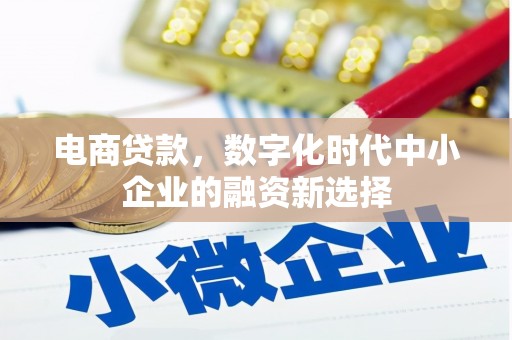 扶风电商贷款，数字化时代中小企业的融资新选择