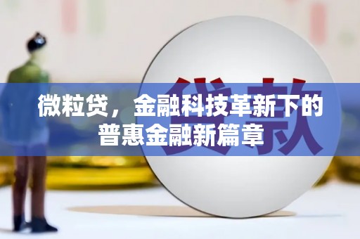 扶风微粒贷，金融科技革新下的普惠金融新篇章
