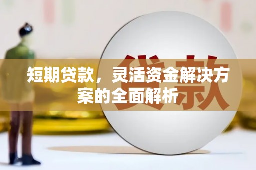扶风短期贷款，灵活资金解决方案的全面解析