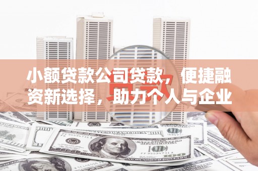 扶风小额贷款公司贷款，便捷融资新选择，助力个人与企业成长