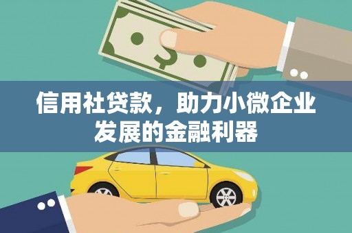 扶风信用社贷款，助力小微企业发展的金融利器