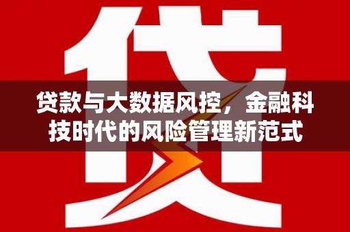 扶风贷款与大数据风控，金融科技时代的风险管理新范式