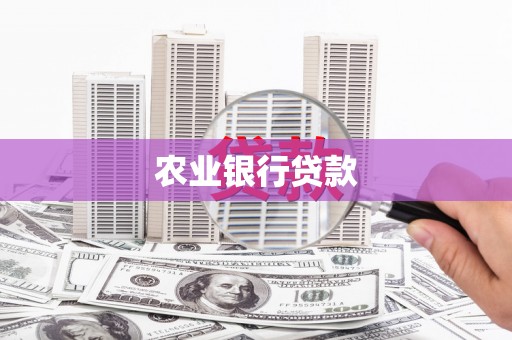 扶风农业银行贷款