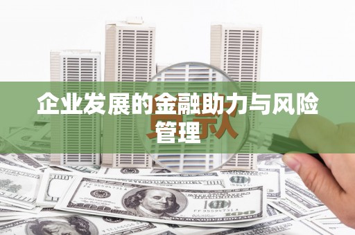扶风企业发展的金融助力与风险管理