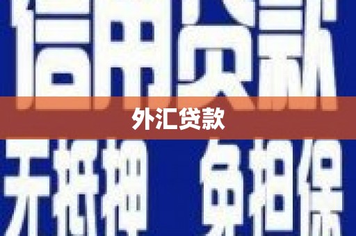 扶风外汇贷款