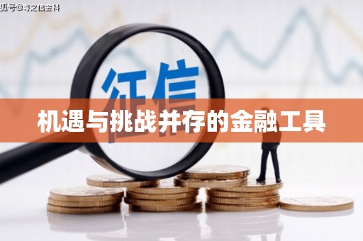 扶风机遇与挑战并存的金融工具