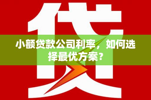 扶风小额贷款公司利率，如何选择最优方案？