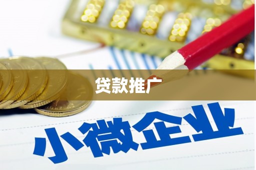 扶风贷款推广