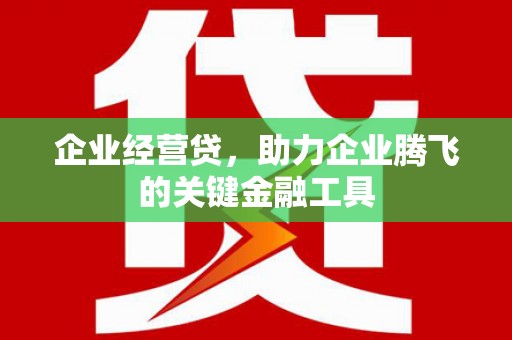 扶风企业经营贷，助力企业腾飞的关键金融工具