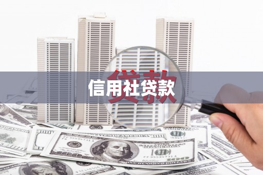 扶风信用社贷款