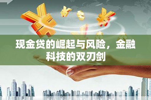 扶风现金贷的崛起与风险，金融科技的双刃剑