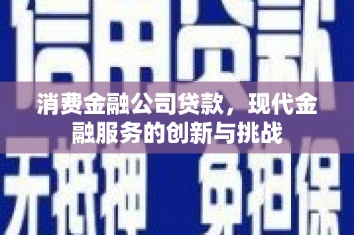 扶风消费金融公司贷款，现代金融服务的创新与挑战