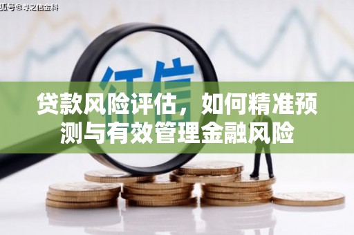 扶风贷款风险评估，如何精准预测与有效管理金融风险