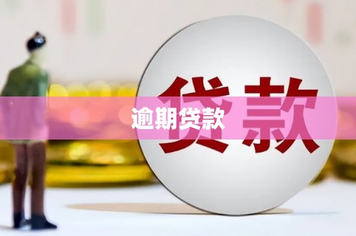 扶风逾期贷款