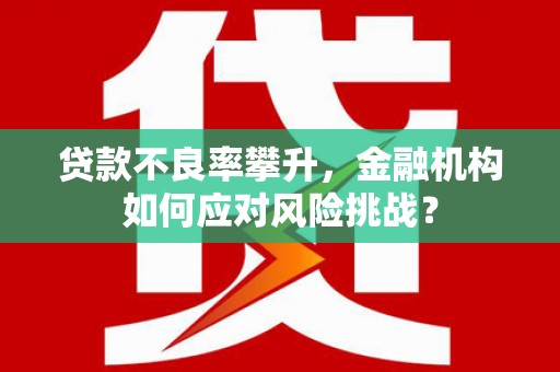 扶风贷款不良率攀升，金融机构如何应对风险挑战？