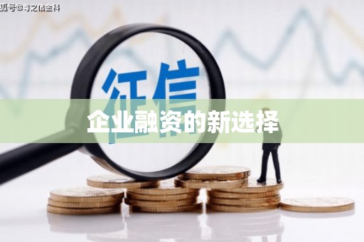 扶风企业融资的新选择
