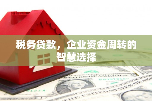扶风税务贷款，企业资金周转的智慧选择