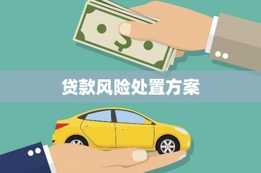 扶风贷款风险处置方案