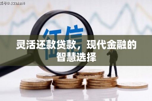 扶风灵活还款贷款，现代金融的智慧选择