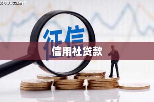 扶风信用社贷款