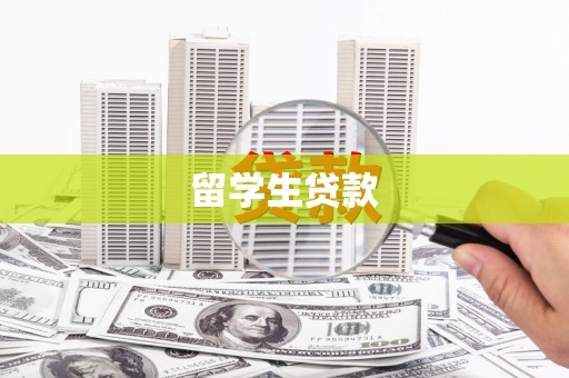 扶风留学生贷款