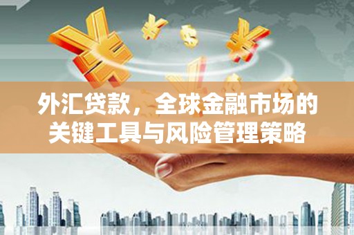 扶风外汇贷款，全球金融市场的关键工具与风险管理策略