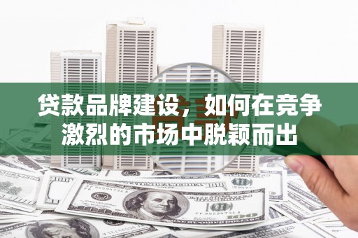 扶风贷款品牌建设，如何在竞争激烈的市场中脱颖而出
